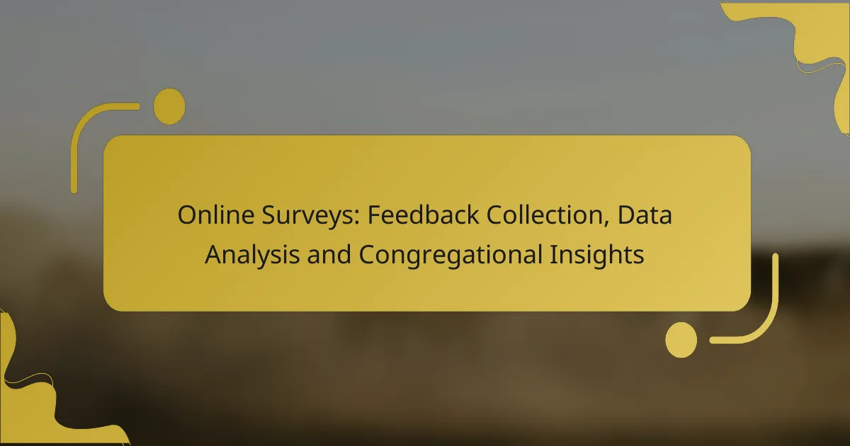 Online Surveys: Feedback Collection, Data Analysis and Congregational Insights